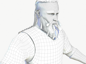 viking warrior Modèle 3D