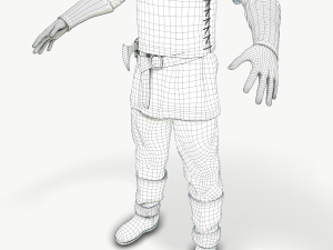 viking warrior Modèle 3D