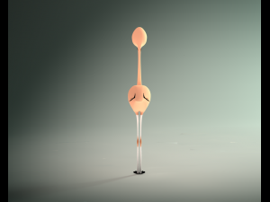 flamingo Model 3D