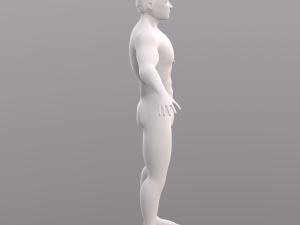 base character mesh - male 3D 모델