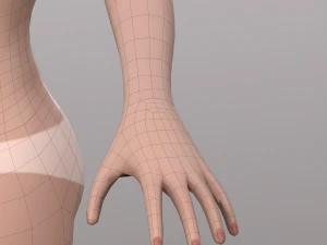 base character mesh - female 3D Model