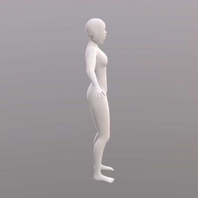 base character mesh - female 3D Model in Woman 3DExport