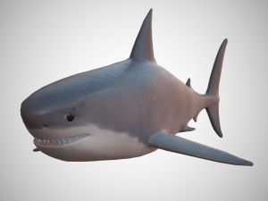great white shark 3Dモデル
