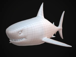 great white shark 3D Model