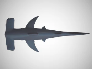 hammerhead shark 3D Model