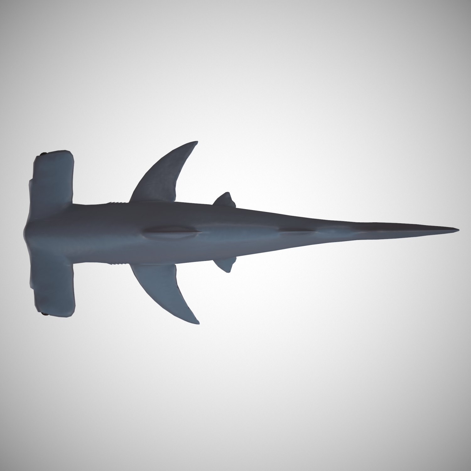 Mesh model 3d Hammerhead Shark