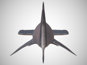 hammerhead shark Modèle 3D