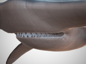 hammerhead shark Modèle 3D