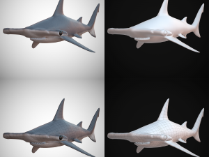 hammerhead shark Modèle 3D