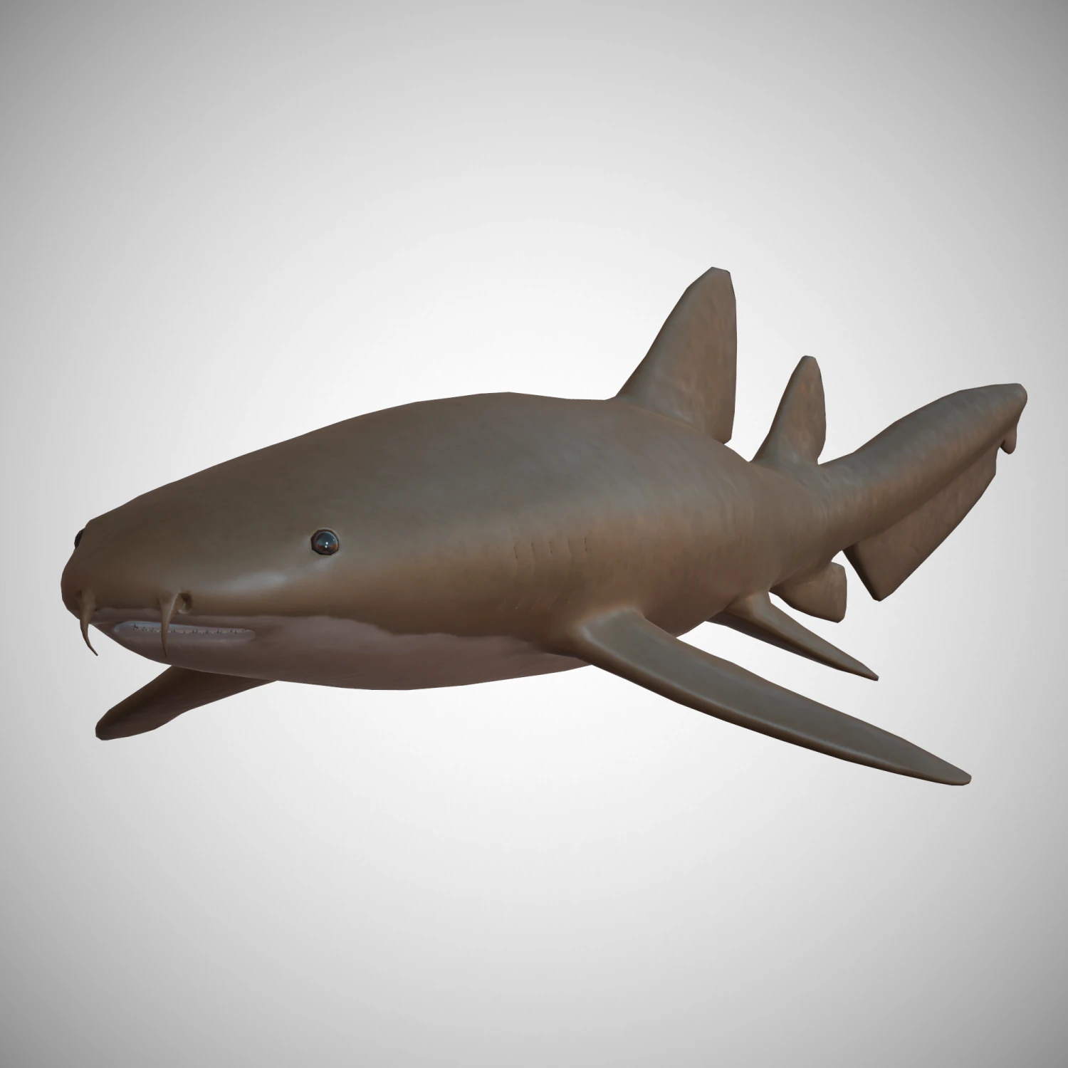 nurse shark 3D Model .c4d .max .obj .3ds .fbx .stl .blend 