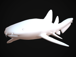 nurse shark 3D 模型