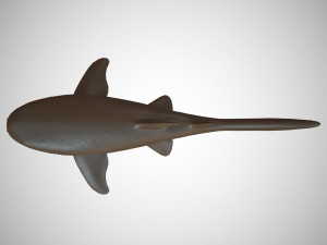 nurse shark 3D 模型