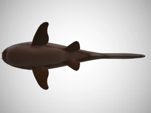nurse shark 3D Model