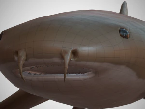 nurse shark 3D Model