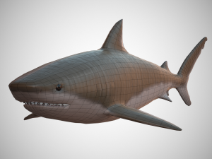 tiger shark Modello 3D