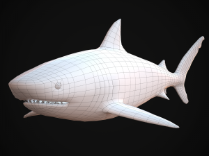 tiger shark Modello 3D