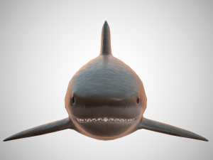 tiger shark Modello 3D