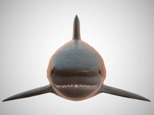 tiger shark 3D Model