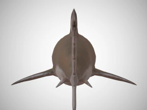 tiger shark 3D Model