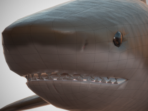 tiger shark Modello 3D