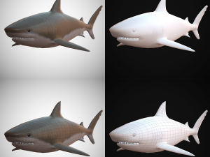 tiger shark Modello 3D