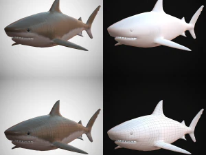 tiger shark 3D Model