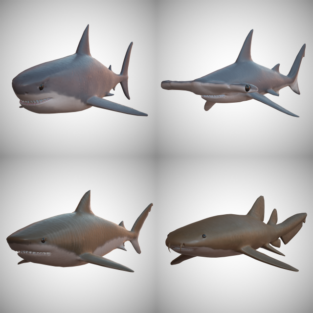 sharks - 4 pack 3D 模型 .c4d .max .obj .3ds .fbx .stl .blend 