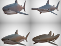 sharks - 4 pack Modello 3D