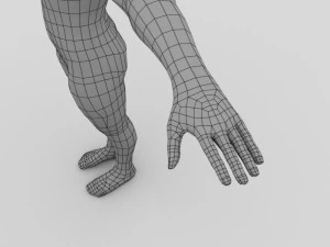 male base model 3D Model