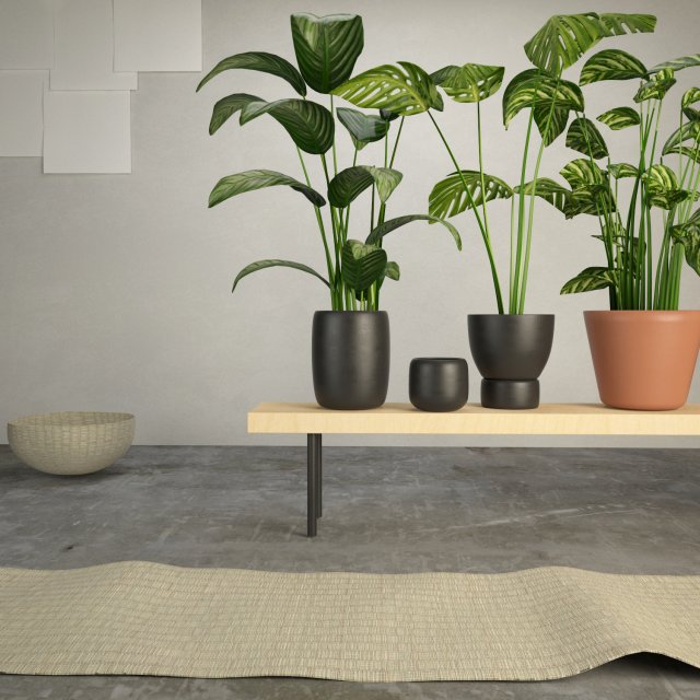 the plants 3D 모델 .c4d .max .obj .3ds .fbx .stl .blend 