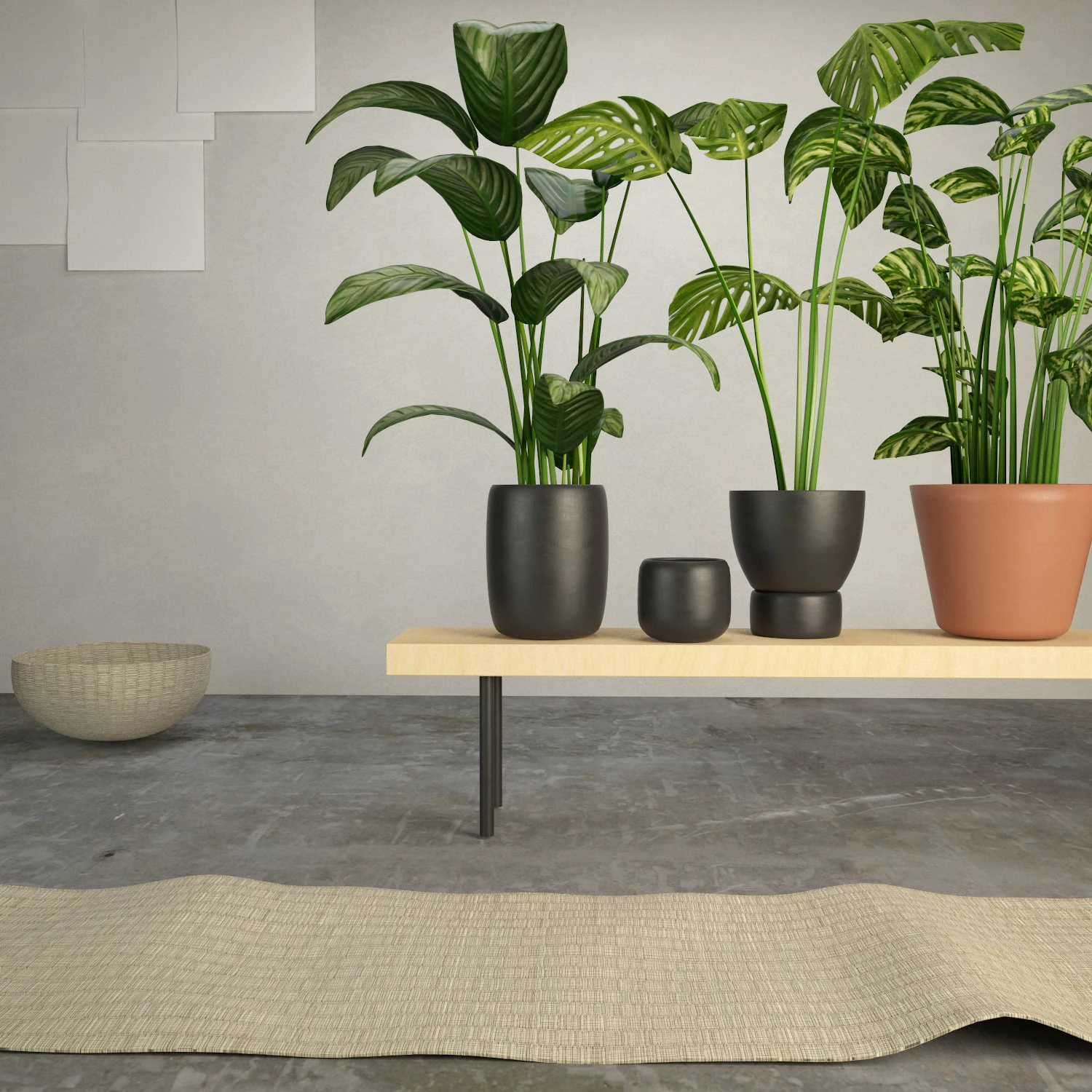the plants 3D Model .c4d .max .obj .3ds .fbx .stl .blend