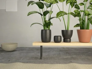 las plantas Modelo 3D