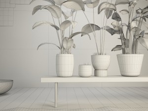 the plants 3D 모델