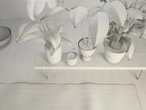 the plants 3D Model