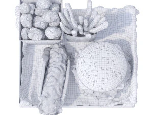 Realistic 3D KFS MEAL 3D Model
