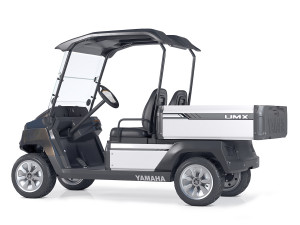 Yamaha Golf Cart UMAX Modello 3D