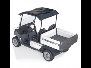 Yamaha Golf Cart UMAX 3D Model