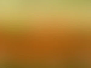 10 blured backgrounds CG Textures