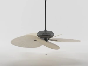 penggemar belleria tropis Model 3D