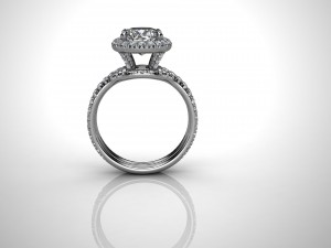 ring model - 001 3D Print Model