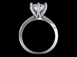 ring model - 004 Modello di stampa 3D
