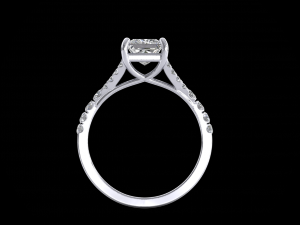 ring model - 006 3D Print Model