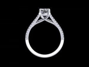 ring model - 008 3D Print Model