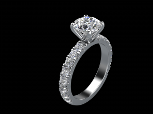 ring model - 013 3D Print Model