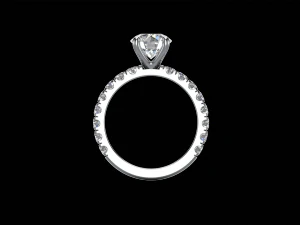 modello ad anello - 013 Modello di stampa 3D