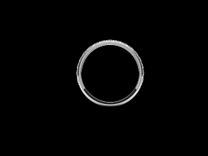 ring model - 014 Modello di stampa 3D