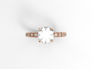 ring model - 016 Modèles 3D en vedette