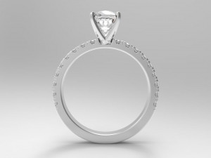 ring model - 017 3D 打印模型