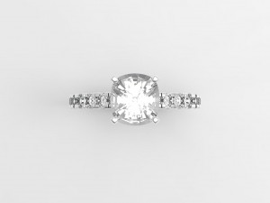 ring model - 017 3D 打印模型