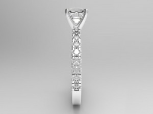 ring model - 017 3D 打印模型